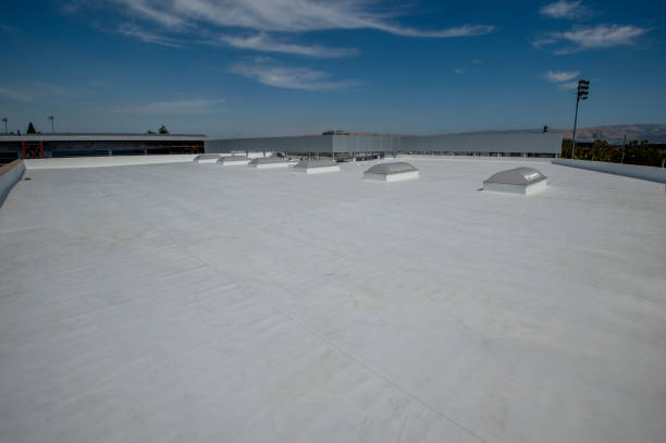 Best Commercial Roofing Services  in Nneconne, WI